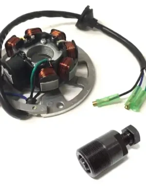 Lichtmaschine mit Polradabzieher für Sachs Eagle SX1 Speedjet Speedforce 50 Direktkauf