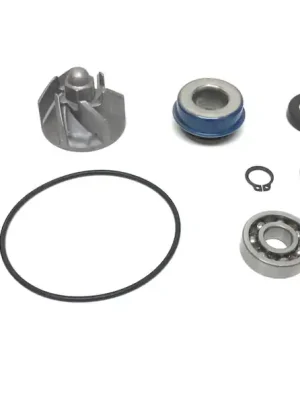Wasserpumpen Reparatursatz für Honda SH 125 150 Chiocciola Zertifiziert