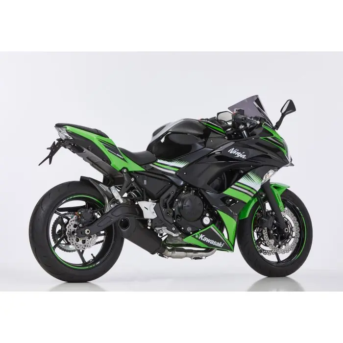 SHARK DSX-10 Auspuffanlage schwarz-matt EG-BE passt für KAWASAKI Ninja 650(23-24)/Z650(23-24)/Z650 RS(24-24) Top-Preis