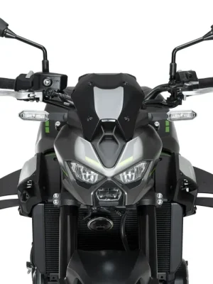 Sichere Zahlung PUIG D12 Spoiler / Winglets mit ABE schwarz passend für Kawasaki Z900 / Z900 SE - Modelle (2025-2026)