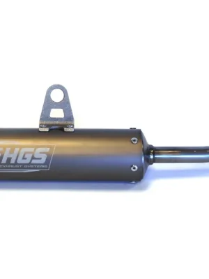 Silenciador traseiro HGS SX85/TC85 prateado (2025-) Billig