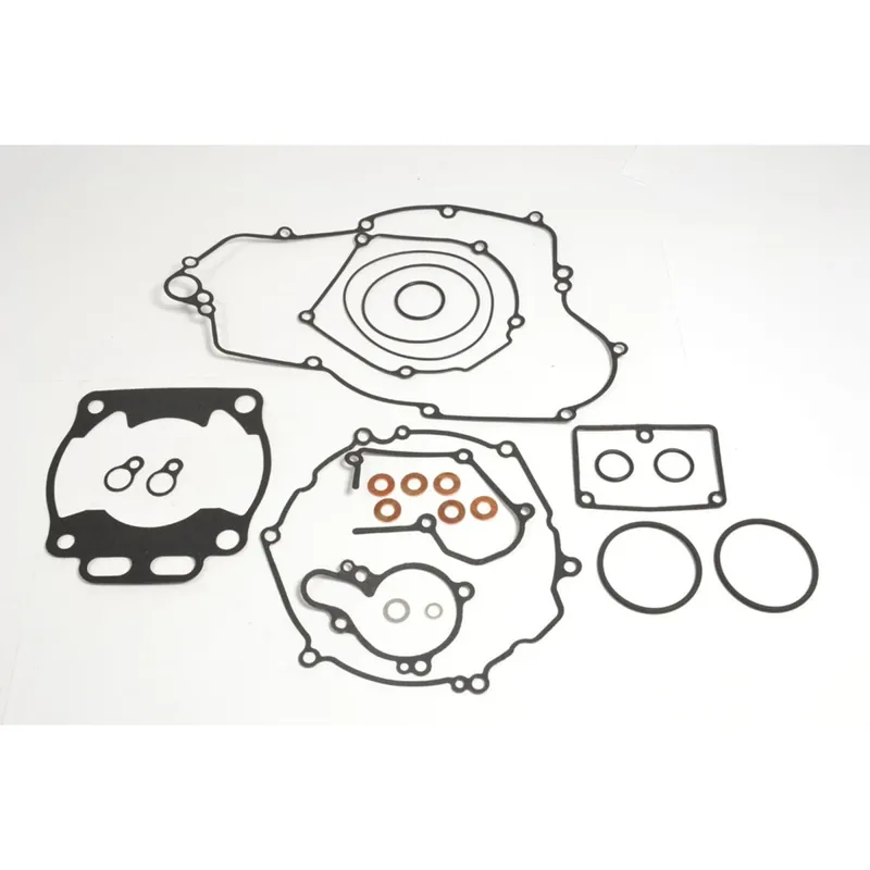 Complete engine seal kit - P400250850021 Sofort Bestellen