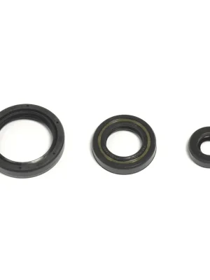 Expressversand Engine seal kit - P400220400263