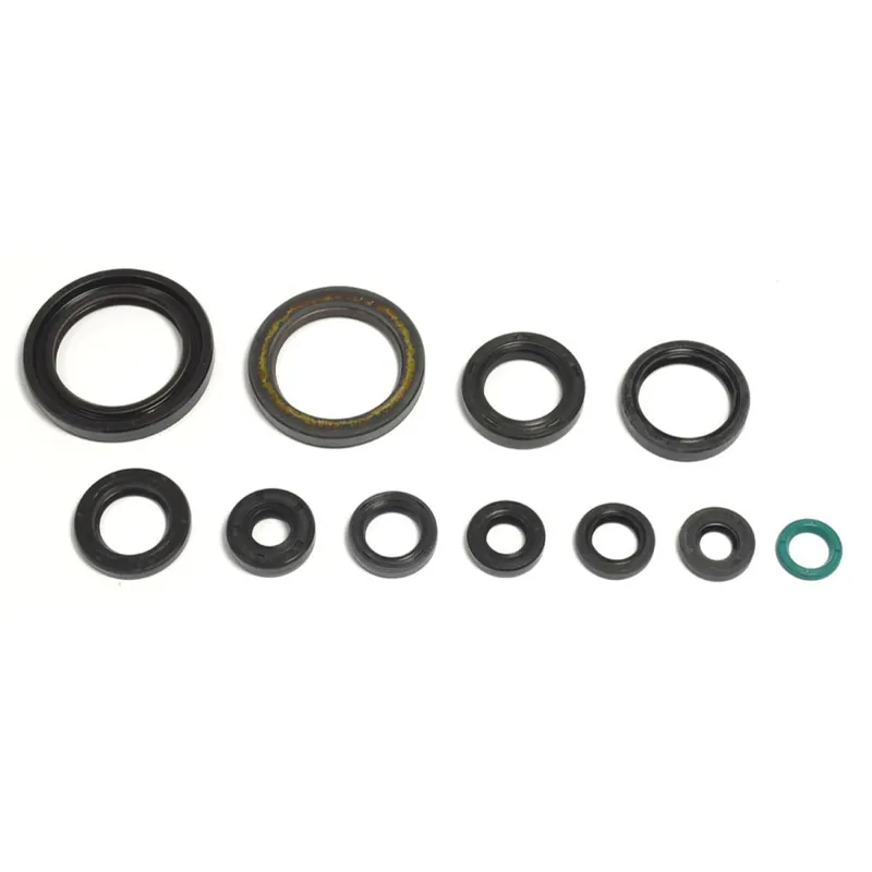 Knallerangebot Engine seal kit - P400210400095