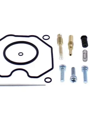 Angebot Vergaser Reparatursatz 26-10076