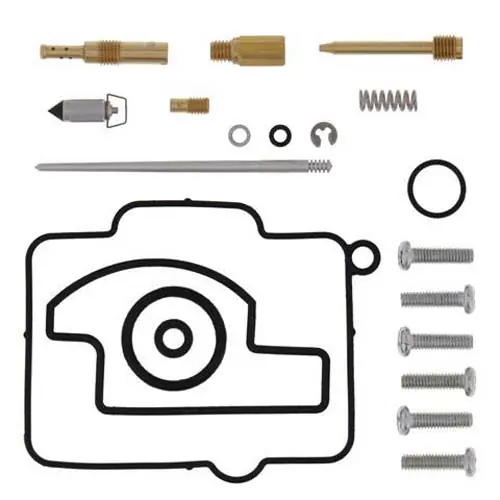 Vergaser Reparatursatz 26-1205 Saisonangebot