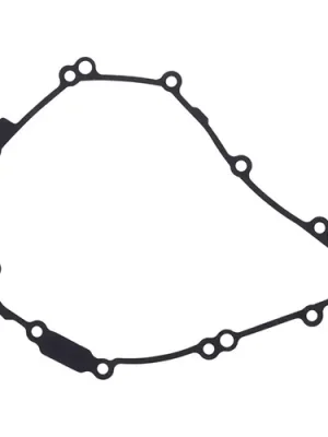 Dichtung Lichtmaschinendeckel Top-Angebot